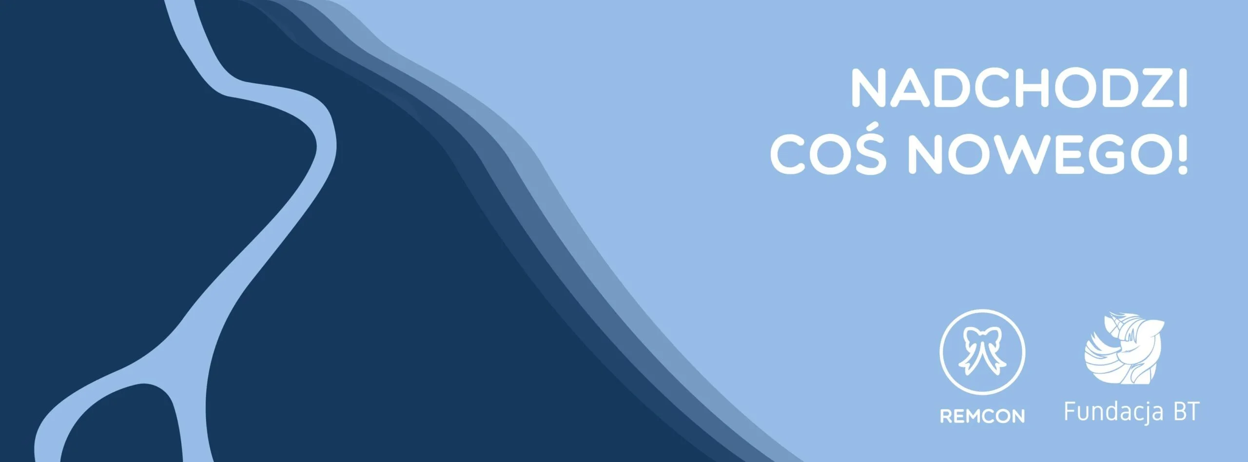 Festiwal Remcon 2024 visual